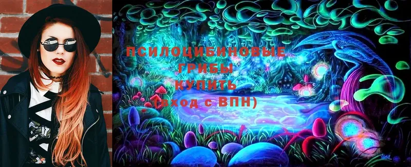 MEGA онион  Выборг  Псилоцибиновые грибы Psilocybine cubensis 